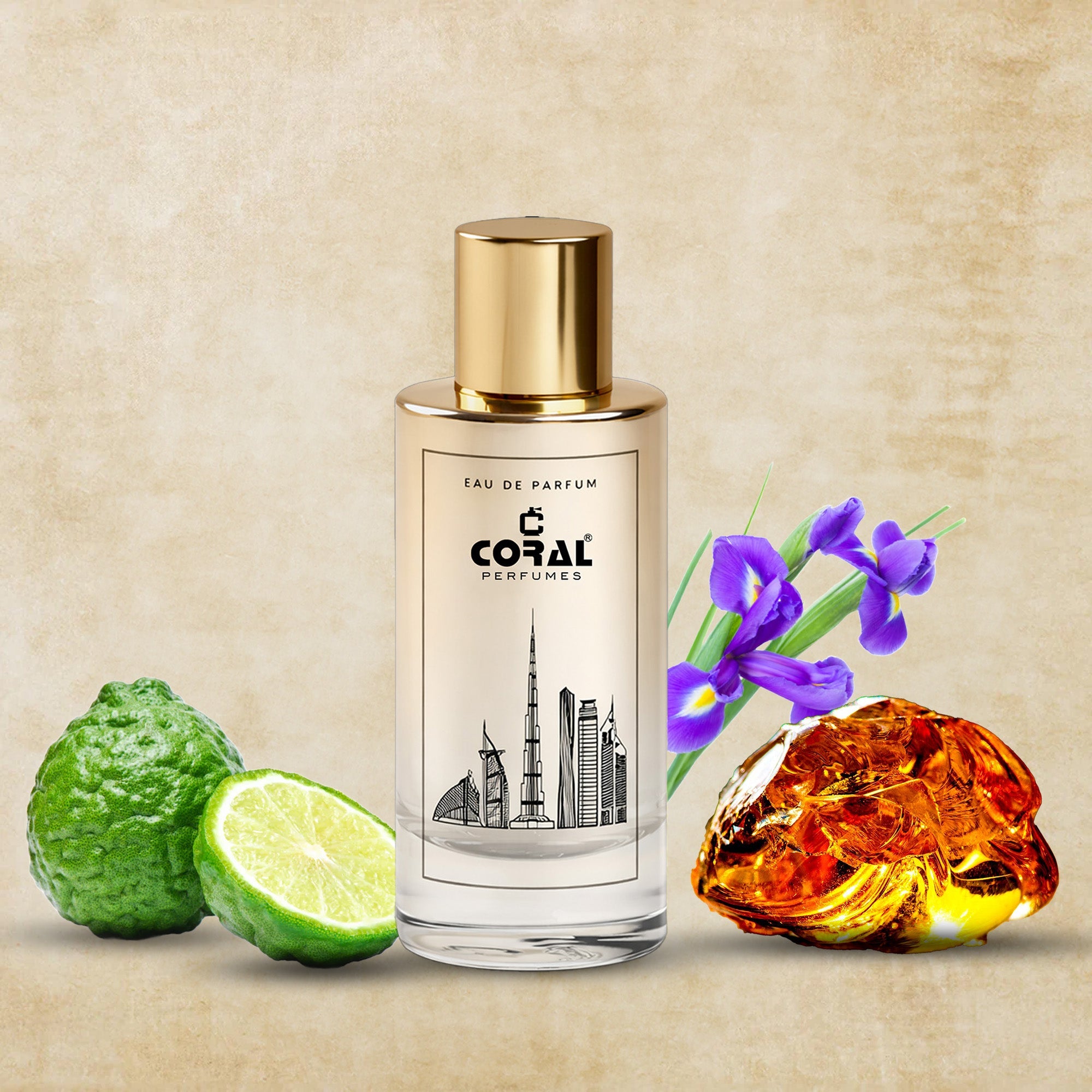 Elite Man Eau de Parfum | Inspired By Dior Homme For Men