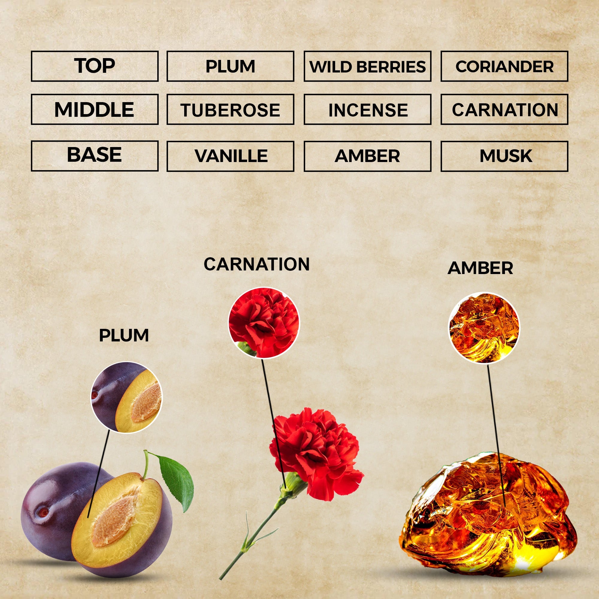 Dark Elixir Eau de Parfum | Inspired By D Poison For Women