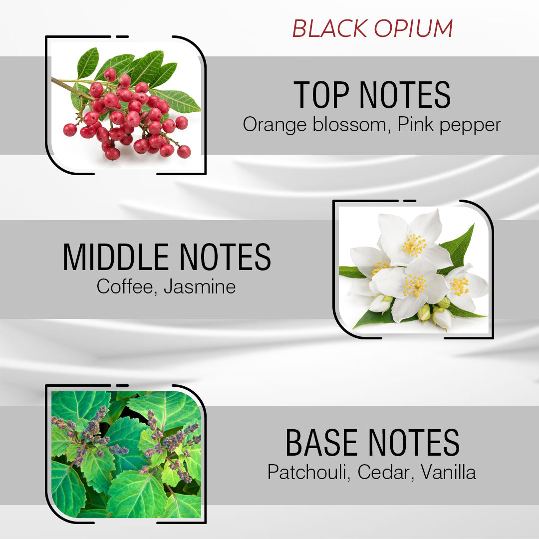Velvet Addiction Perfume Oil For Women - Inspired By Black Opiùm