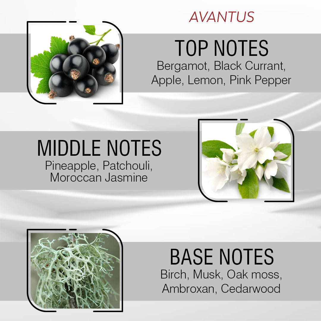 Victor Perfume Oil for Men – Inspired By Ávêntus
